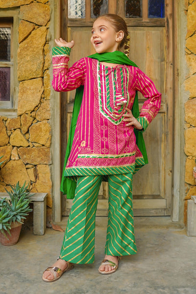 Cotton Printed 3 Pc Suit