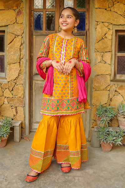 Cotton Printed 3 Pc Suit