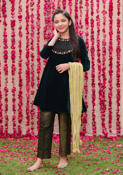Velvet Hand Work 3 Pc Suit