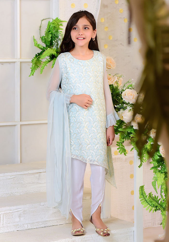 Chiffon Embroidered 3 Pc Suit - Wear Ochre