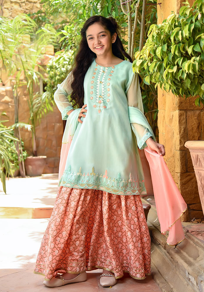 Chiffon Embroidered 3 Pc Suit - Wear Ochre