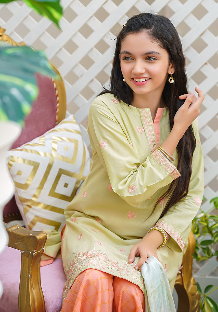 Cotton Embroidered 3 Pc Suit - Wear Ochre