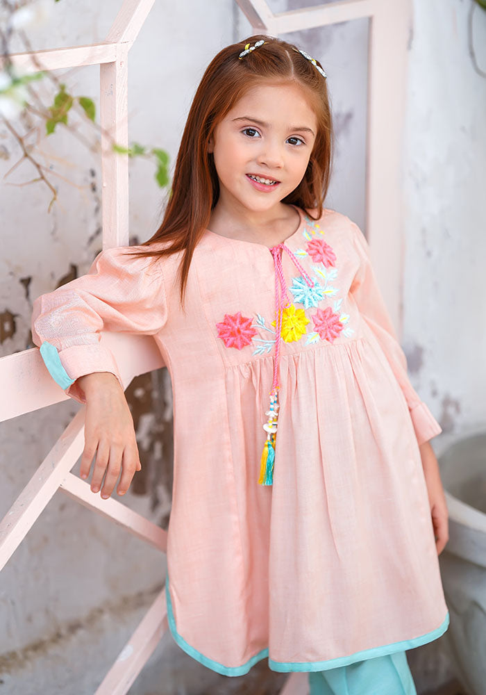 Chambray Cotton Embroidered 2 Pc Suit - Wear Ochre