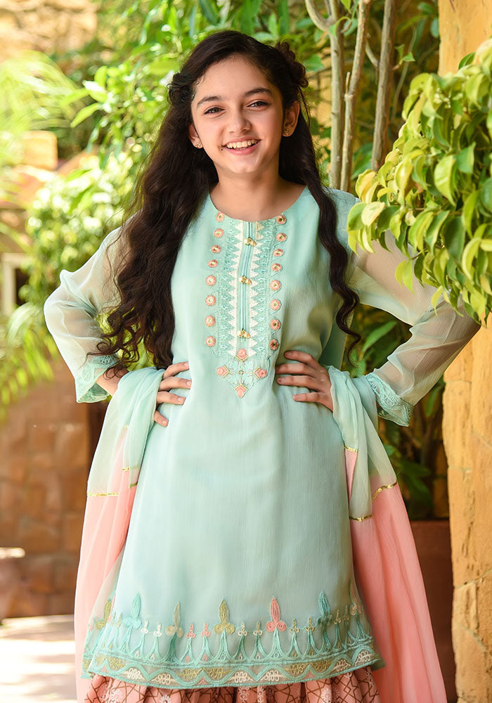 Chiffon Embroidered 3 Pc Suit - Wear Ochre