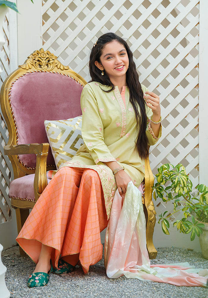 Cotton Embroidered 3 Pc Suit - Wear Ochre