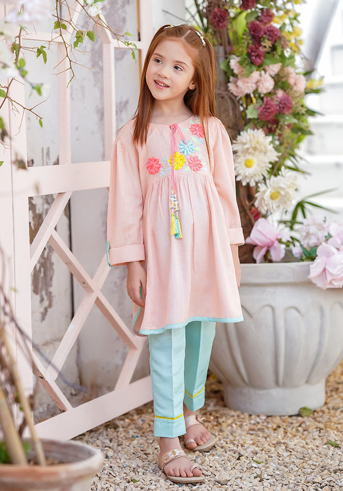Chambray Cotton Embroidered 2 Pc Suit - Wear Ochre