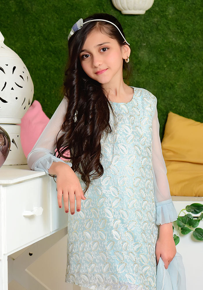 Chiffon Embroidered 3 Pc Suit - Wear Ochre