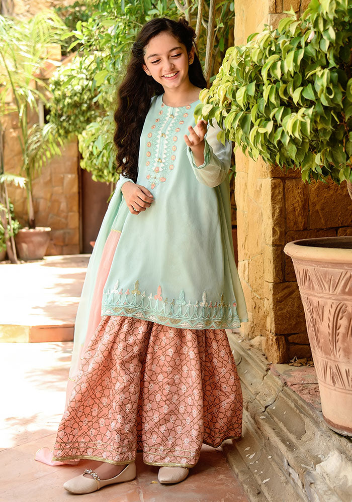 Chiffon Embroidered 3 Pc Suit - Wear Ochre