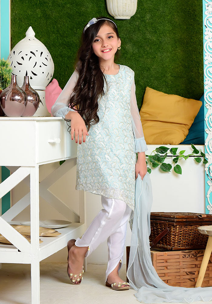 Chiffon Embroidered 3 Pc Suit - Wear Ochre