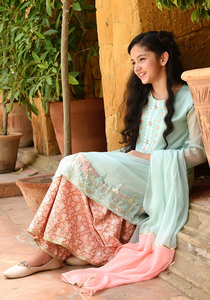 Chiffon Embroidered 3 Pc Suit - Wear Ochre