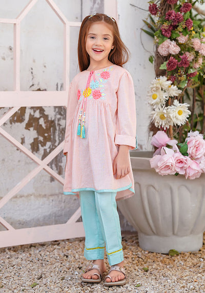 Chambray Cotton Embroidered 2 Pc Suit