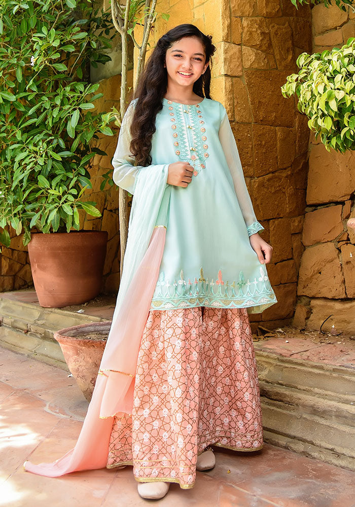 Chiffon Embroidered 3 Pc Suit - Wear Ochre