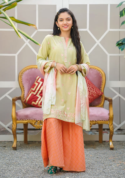 Cotton Embroidered 3 Pc Suit