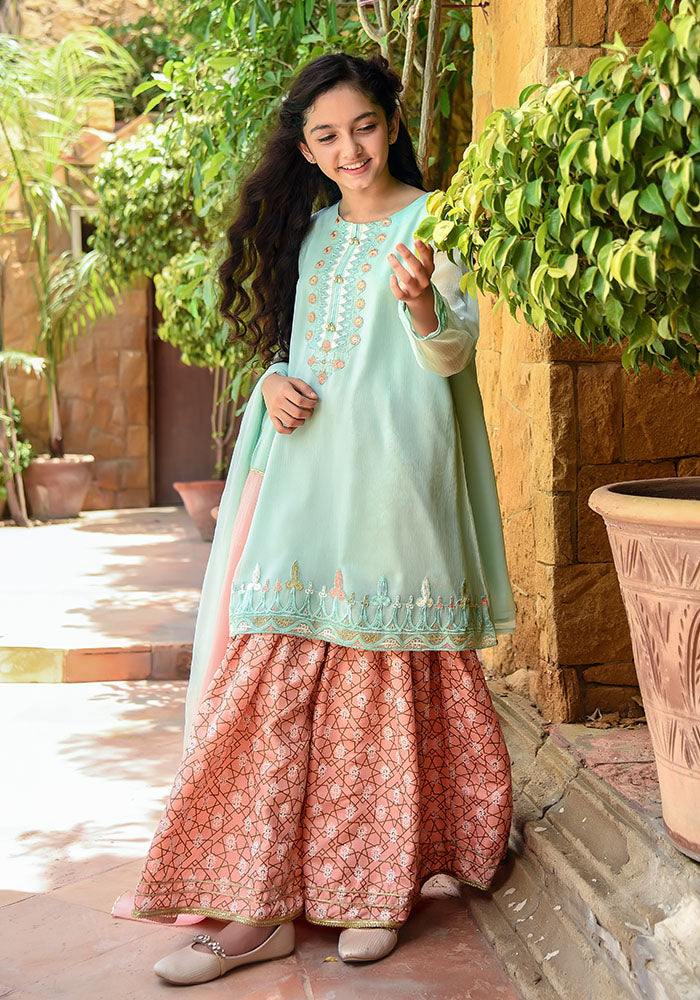 Chiffon Embroidered 3 Pc Suit - Wear Ochre