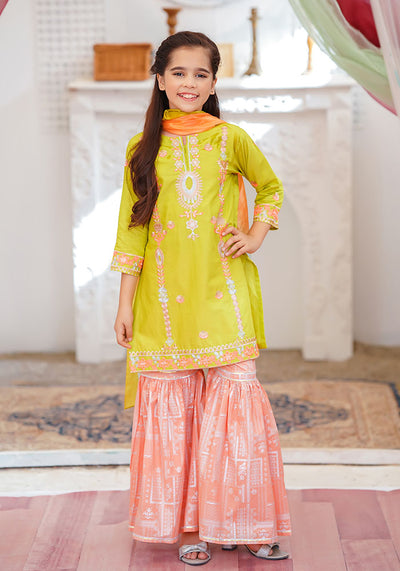 Cotton Embroidered 3 Pc Suit