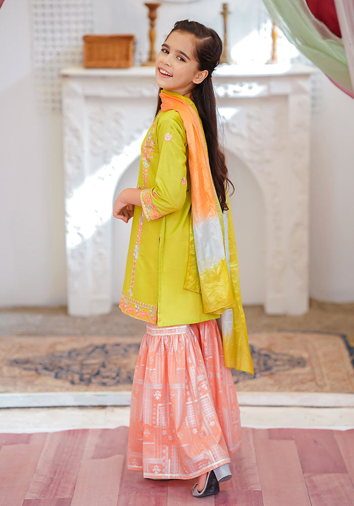Cotton Embroidered 3 Pc Suit - Wear Ochre