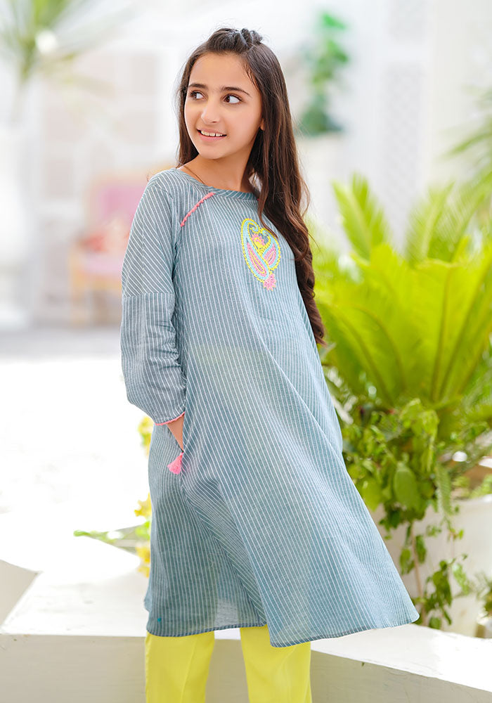Chambray Cotton Embroidered 2 Pc Suit - Wear Ochre