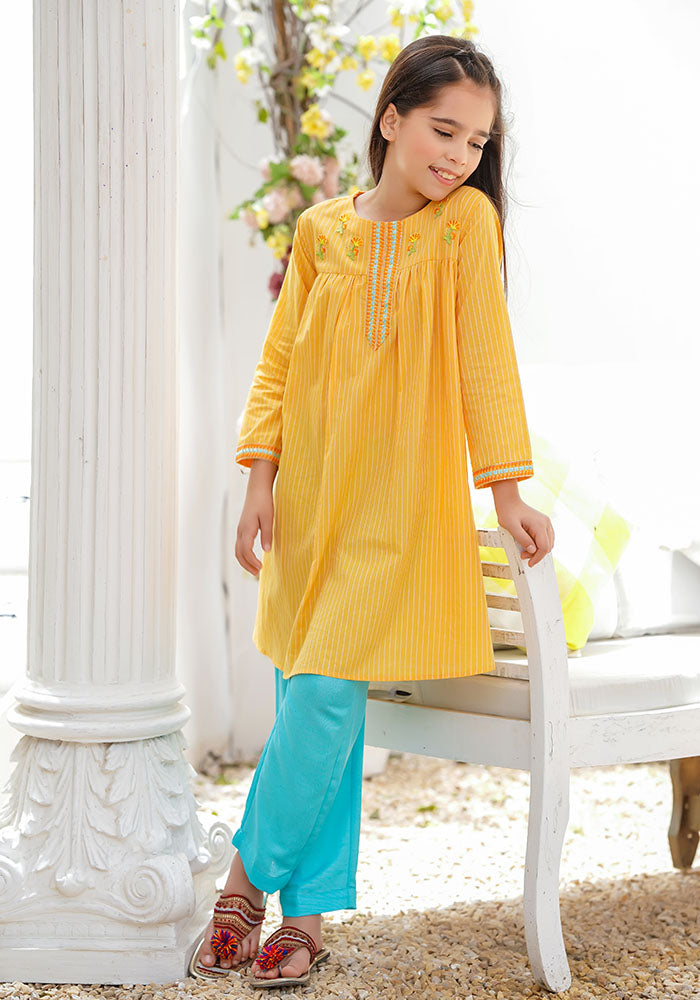 Chambray Cotton Embroidered 2 Pc Suit - Wear Ochre