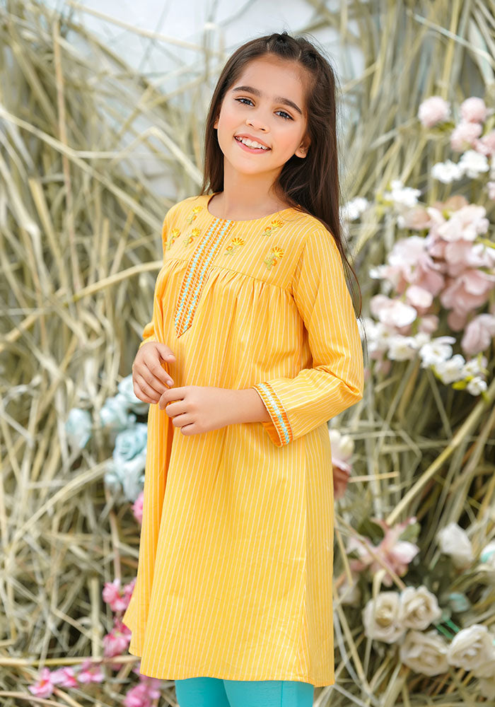 Chambray Cotton Embroidered 2 Pc Suit - Wear Ochre