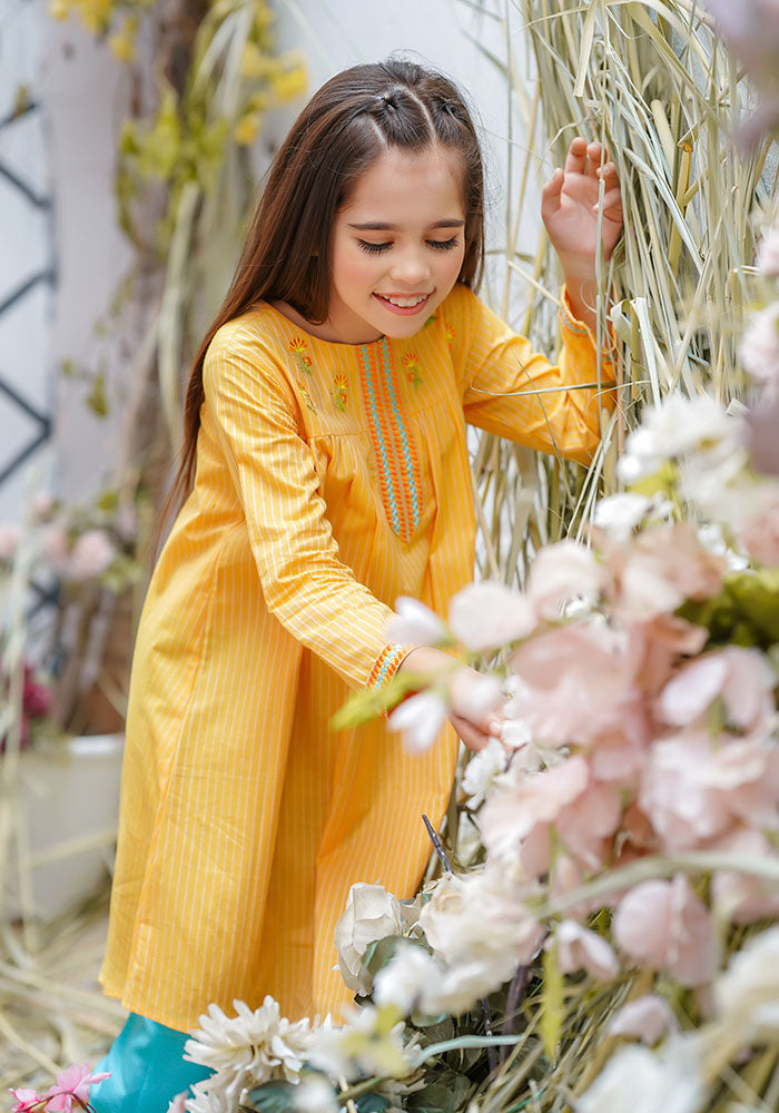 Chambray Cotton Embroidered 2 Pc Suit - Wear Ochre