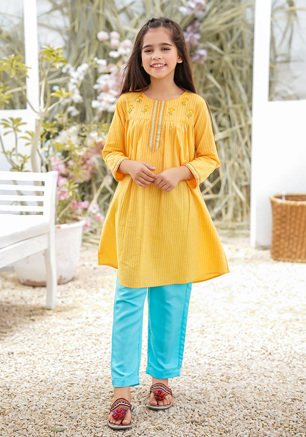 Chambray Cotton Embroidered 2 Pc Suit - Wear Ochre