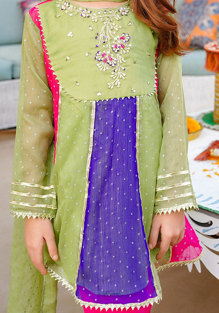 Chiffon Hand Adda Work 3 Pc Suit - Wear Ochre