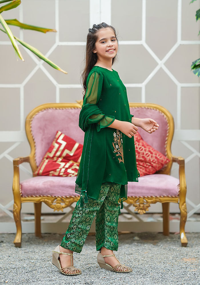 Chiffon Hand Work 3 Pc Suit - Wear Ochre