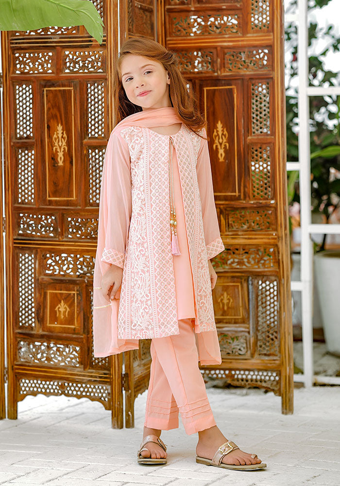 Chiffon Embroidered 3 Pc Suit - Wear Ochre