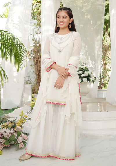 Chiffon Hand Adda Work 3 Pc Suit