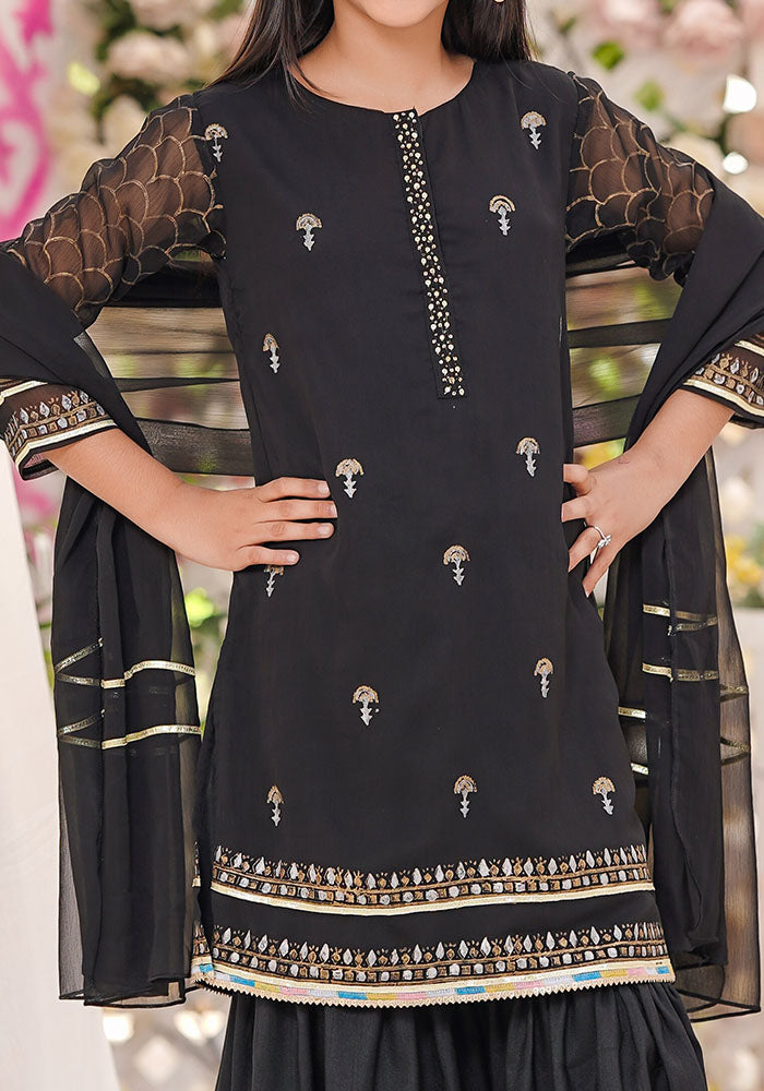 Chiffon Block Printed 3 Pc Suit - Wear Ochre