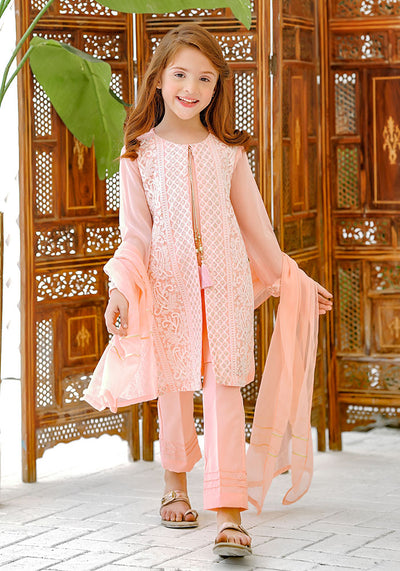 Chiffon Embroidered 3 Pc Suit
