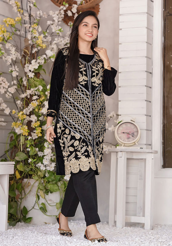 Velvet Embroidered 2 Pc Suit