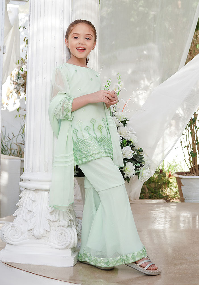 Chiffon Embroidered 3 Pc Suit - Wear Ochre