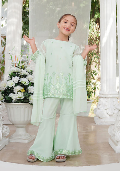 Chiffon Embroidered 3 Pc Suit