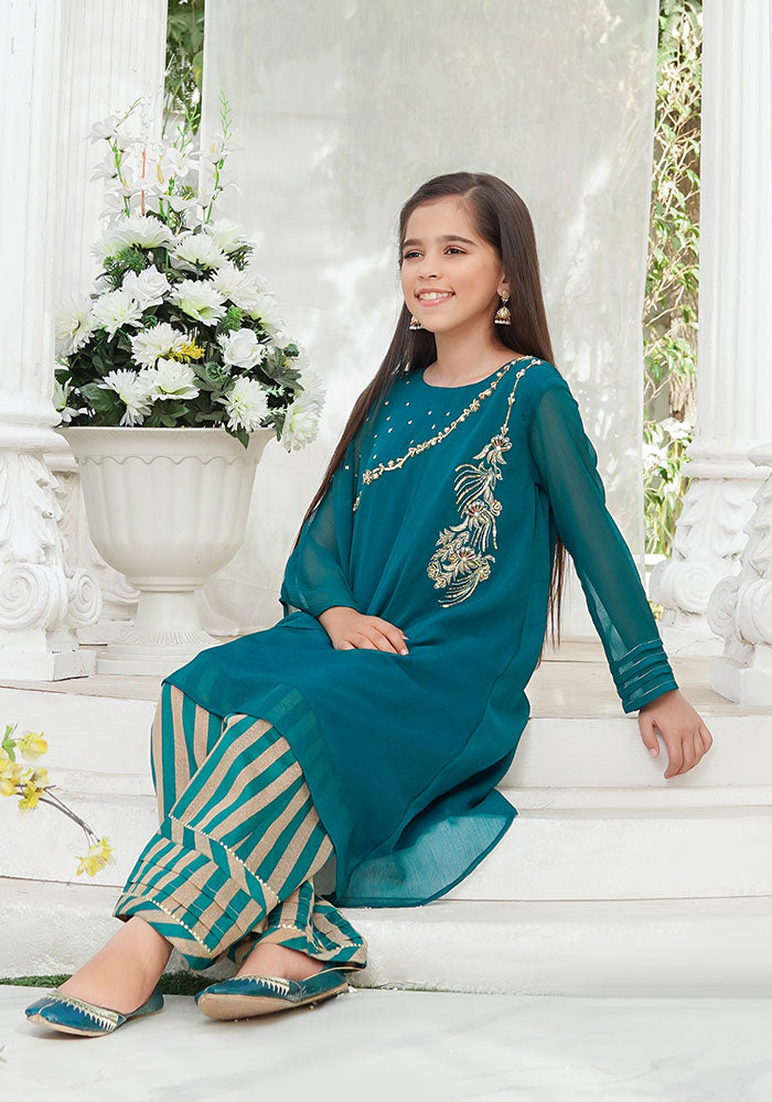 Chiffon Hand Adda Work 2 Pc Suit - Wear Ochre