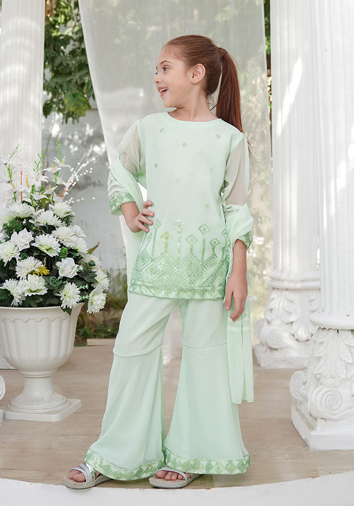 Chiffon Embroidered 3 Pc Suit - Wear Ochre