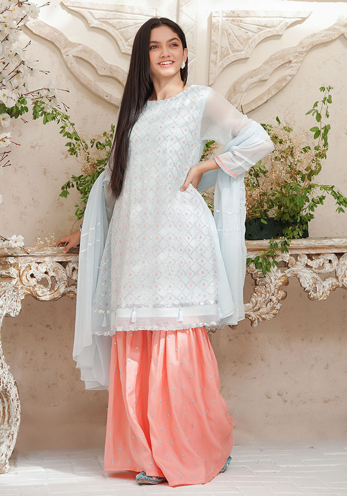 Chiffon Embroidered 3 Pc Suit - Wear Ochre