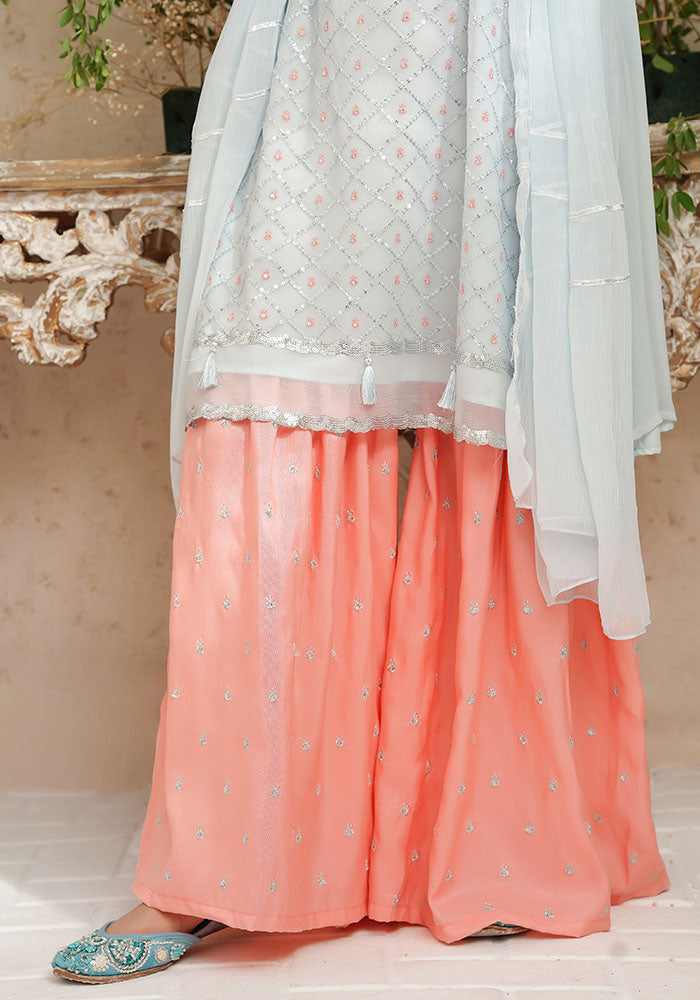 Chiffon Embroidered 3 Pc Suit - Wear Ochre