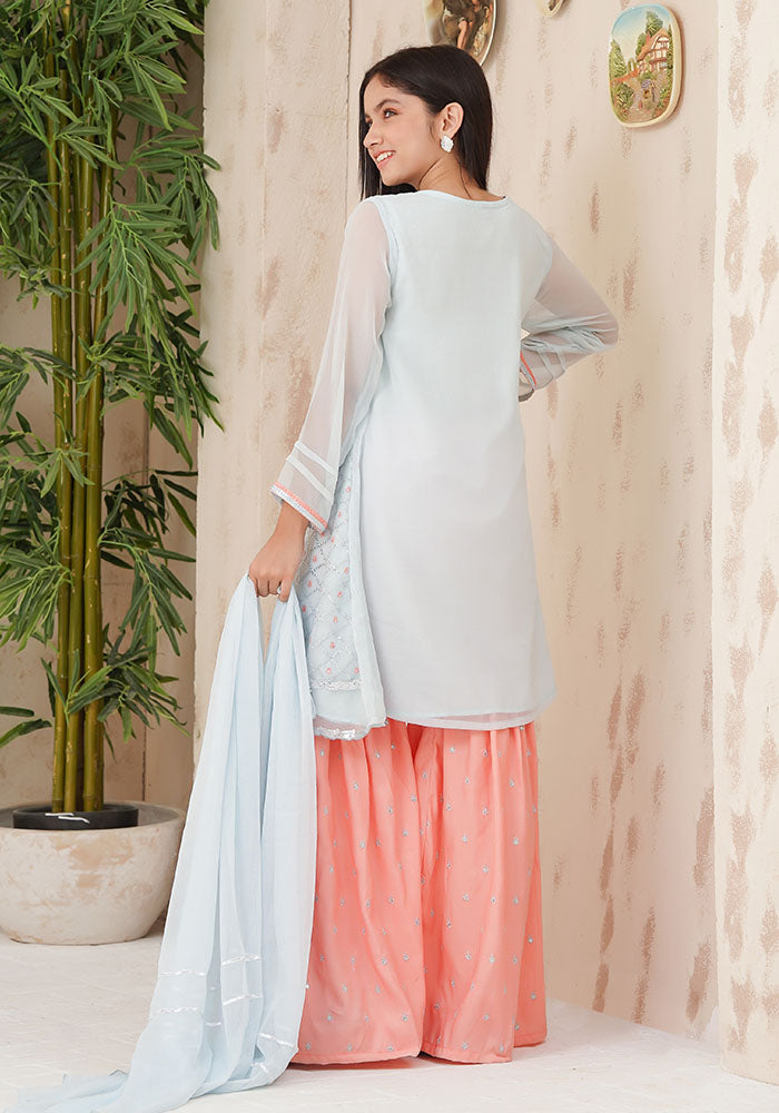 Chiffon Embroidered 3 Pc Suit - Wear Ochre