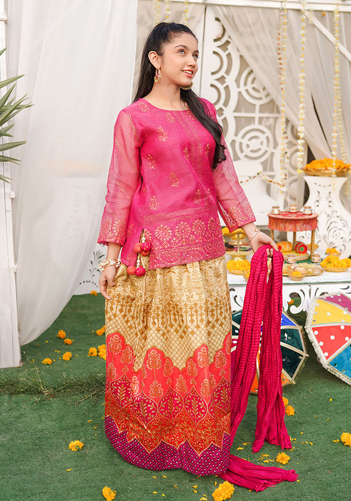 Zari Missouri Hand Adda Work 3 Pc Suit - Wear Ochre