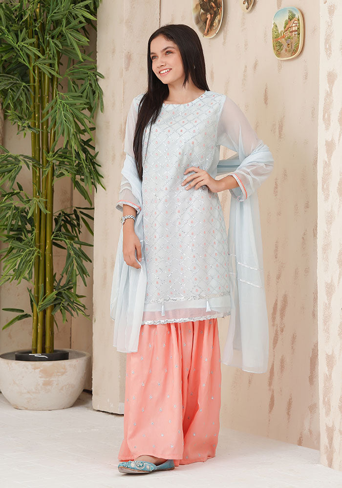 Chiffon Embroidered 3 Pc Suit - Wear Ochre