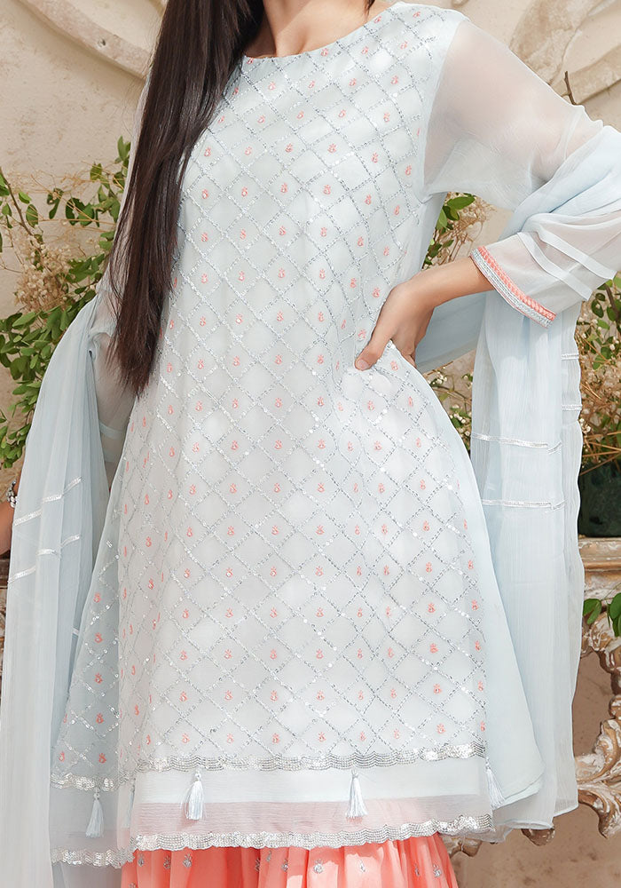 Chiffon Embroidered 3 Pc Suit - Wear Ochre