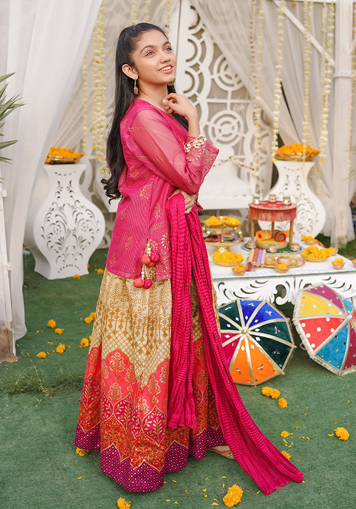 Zari Missouri Hand Adda Work 3 Pc Suit - Wear Ochre