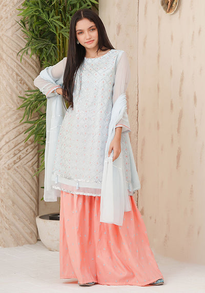 Chiffon Embroidered 3 Pc Suit