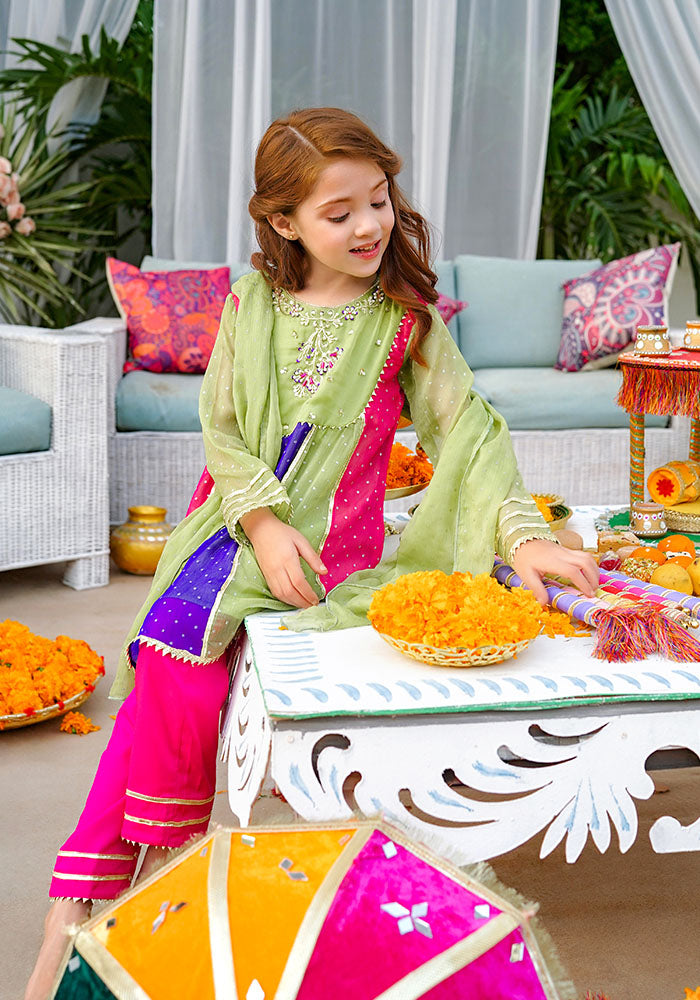 Chiffon Hand Adda Work 3 Pc Suit - Wear Ochre