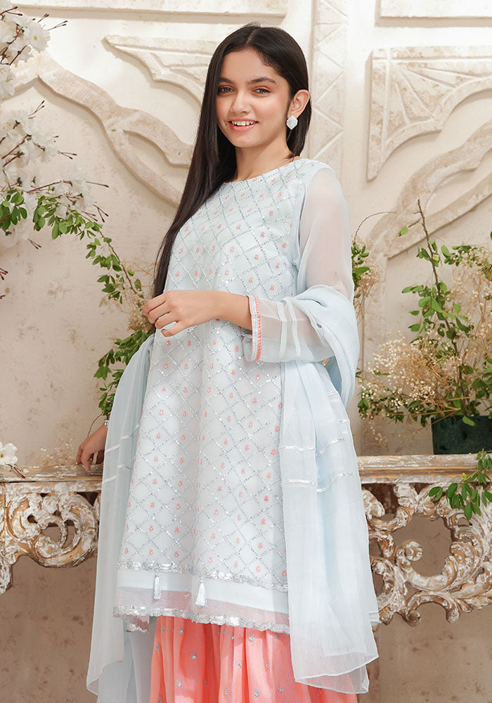 Chiffon Embroidered 3 Pc Suit - Wear Ochre