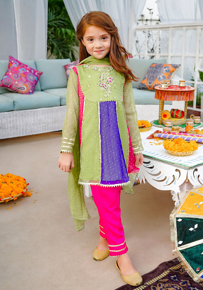 Chiffon Hand Adda Work 3 Pc Suit - Wear Ochre