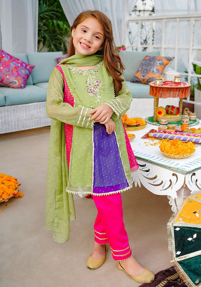 Chiffon Hand Adda Work 3 Pc Suit