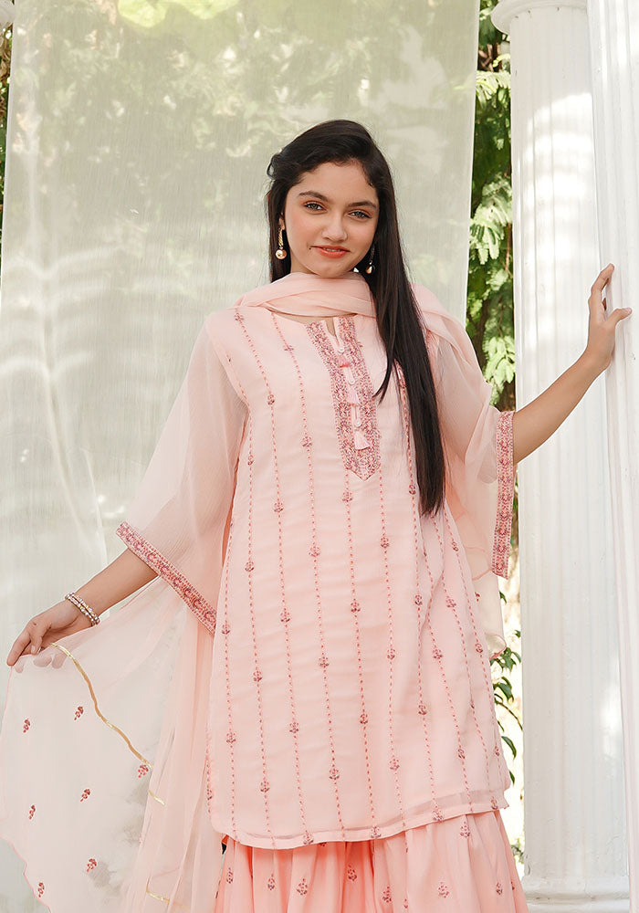 Chiffon Embroidered 3 Pc Suit - Wear Ochre