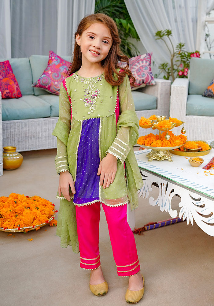 Chiffon Hand Adda Work 3 Pc Suit - Wear Ochre